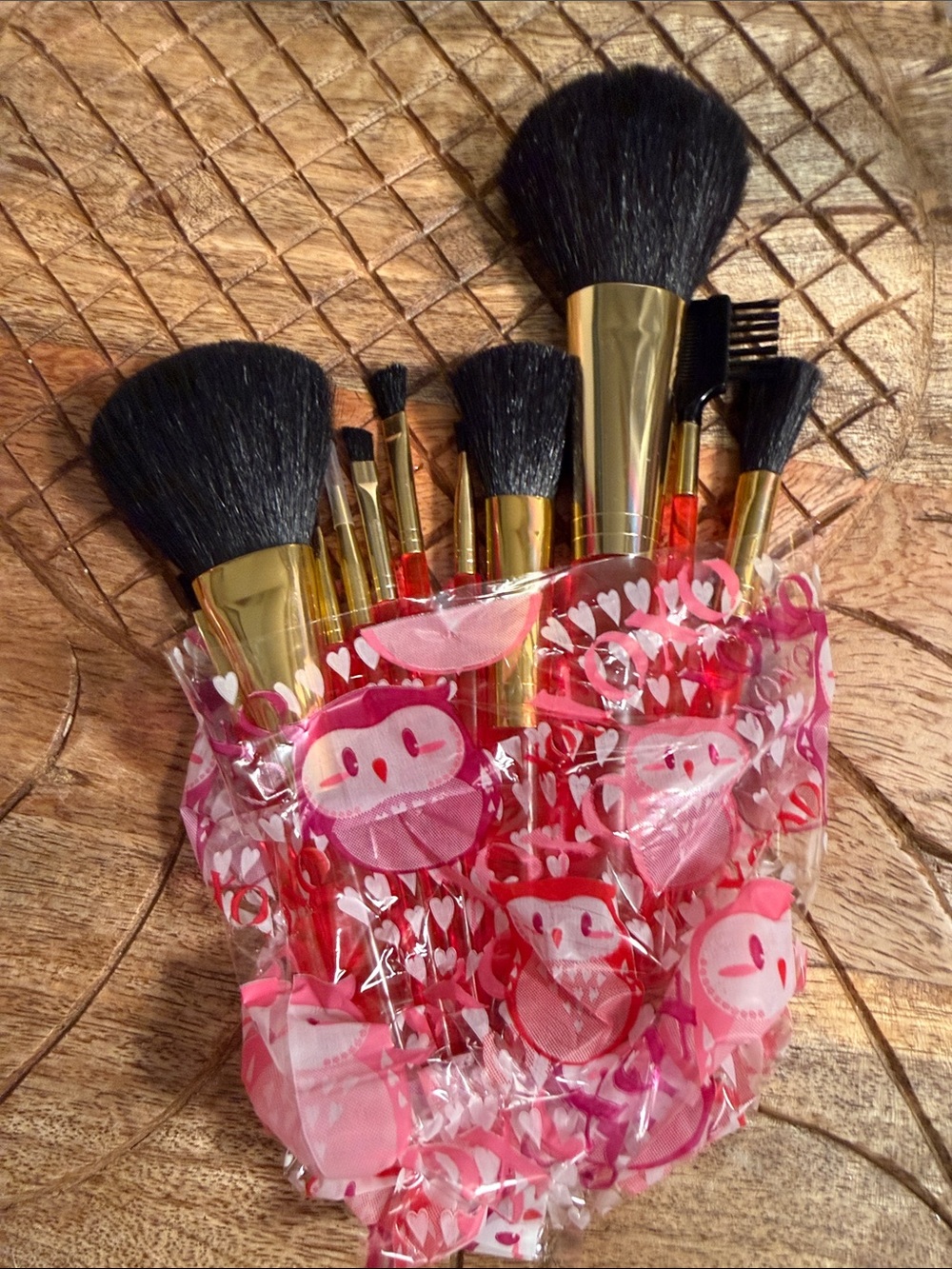 NWT 11 pc Complete Gold & Red Women's Brush Set by Upstage packaged in owl wrap